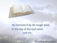 Isaiah 27:8